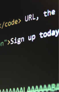 API Development and Integration