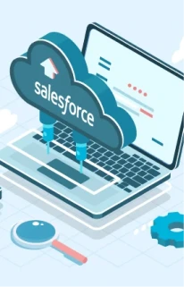 Salesforce Customization and Development