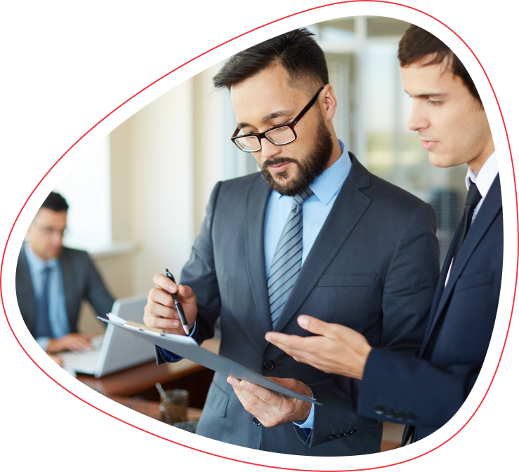 Hire Software Consultants